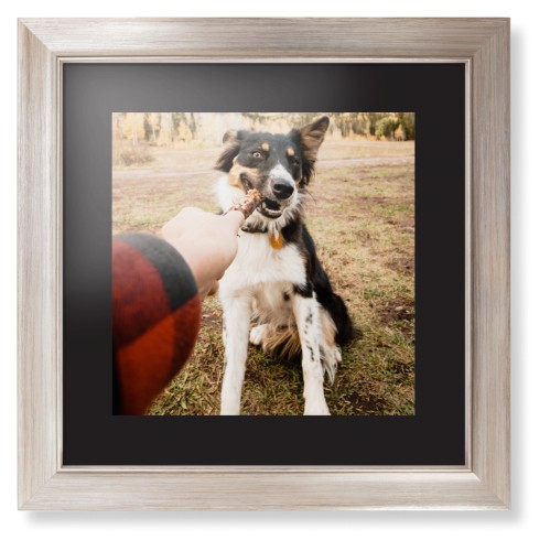 Pet Photo Gallery Framed Print, Metallic, Modern, None, Black, Single piece, 12x12, Multicolor