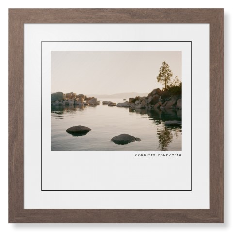 Modern Gallery Framed Print, Walnut, Contemporary, Black, White, Single piece, 16x16, White, white