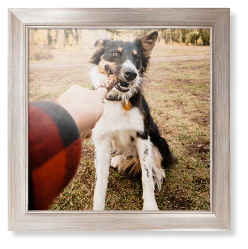 Pet Photo Gallery Framed Print, Metallic, Modern, None, None, Single piece, 16x16, Multicolor