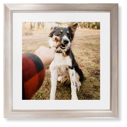 Pet Photo Gallery Framed Print, Metallic, Modern, White, White, Single piece, 16x16, Multicolor