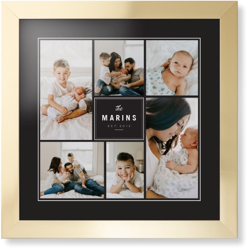 Contemporary Family Collage Framed Print, Matte Gold, Contemporary, White, Black, Single piece, 16x16, Blue, cedar