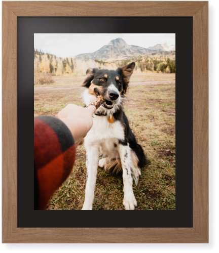 Pet Photo Gallery Framed Print, Natural, Contemporary, Black, Black, Single piece, 16x20, Multicolor