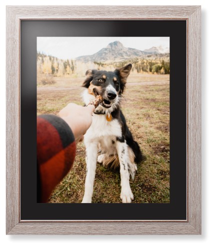 Pet Photo Gallery Framed Print, Rustic, Modern, Black, Black, Single piece, 16x20, Multicolor