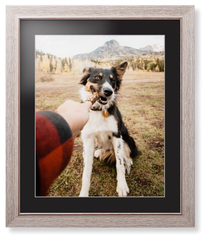Pet Photo Gallery Framed Print, Rustic, Modern, White, Black, Single piece, 16x20, Multicolor, multi