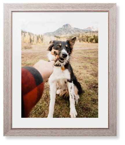 Pet Photo Gallery Framed Print, Rustic, Modern, White, White, Single piece, 16x20, Multicolor, multi