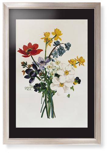 Floral Illustration Framed Print, Metallic, Modern, Black, Black, Single piece, 20x30, Multicolor