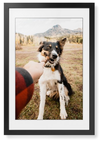 Pet Photo Gallery Framed Print, Black, Contemporary, Black, White, Single piece, 20x30, Multicolor