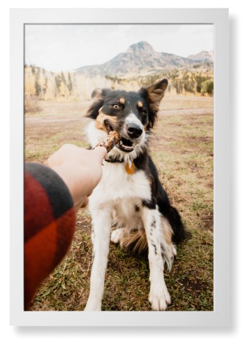 Pet Photo Gallery Framed Print, White, Contemporary, None, None, Single piece, 20x30, Multicolor