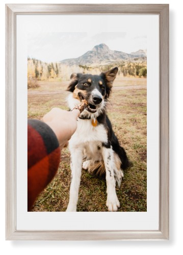 Pet Photo Gallery Framed Print, Metallic, Modern, White, White, Single piece, 20x30, Multicolor