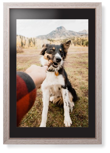 Pet Photo Gallery Framed Print, Rustic, Modern, None, Black, Single piece, 20x30, Multicolor, multi