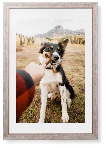 Pet Photo Gallery Framed Print, Rustic, Modern, None, White, Single piece, 20x30, Multicolor