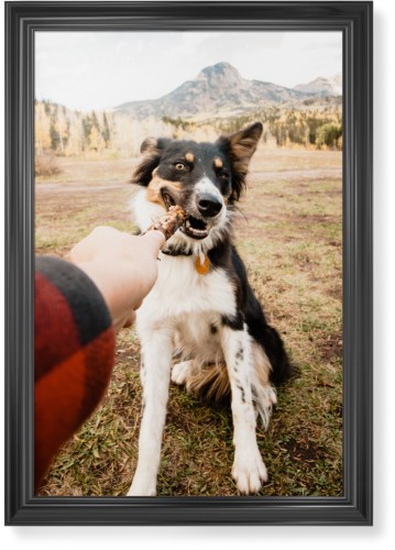 Pet Photo Gallery Framed Print, Black, Classic, None, None, Single piece, 24x36, Multicolor