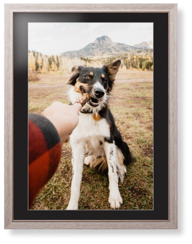 Pet Photo Gallery Framed Print, Rustic, Modern, White, Black, Single piece, 24x36, Multicolor
