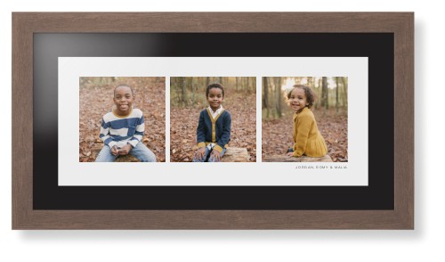 Panoramic Gallery of Three Framed Print, Walnut, Contemporary, None, Black, Single piece, 10x24, Multicolor