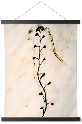 Pressed Flower Hanging Canvas Print, Black, 11x14, Multicolor