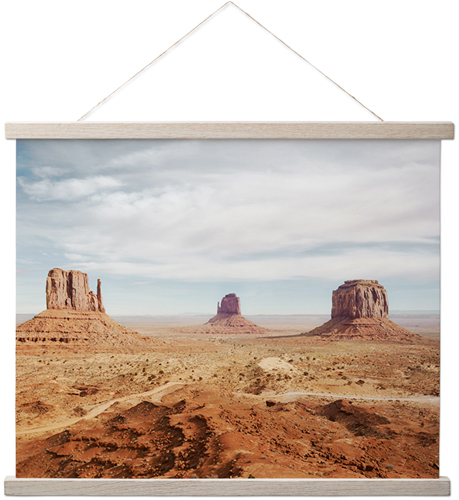 Mojave Desert Hanging Canvas Print, Rustic, 16x20, Multicolor