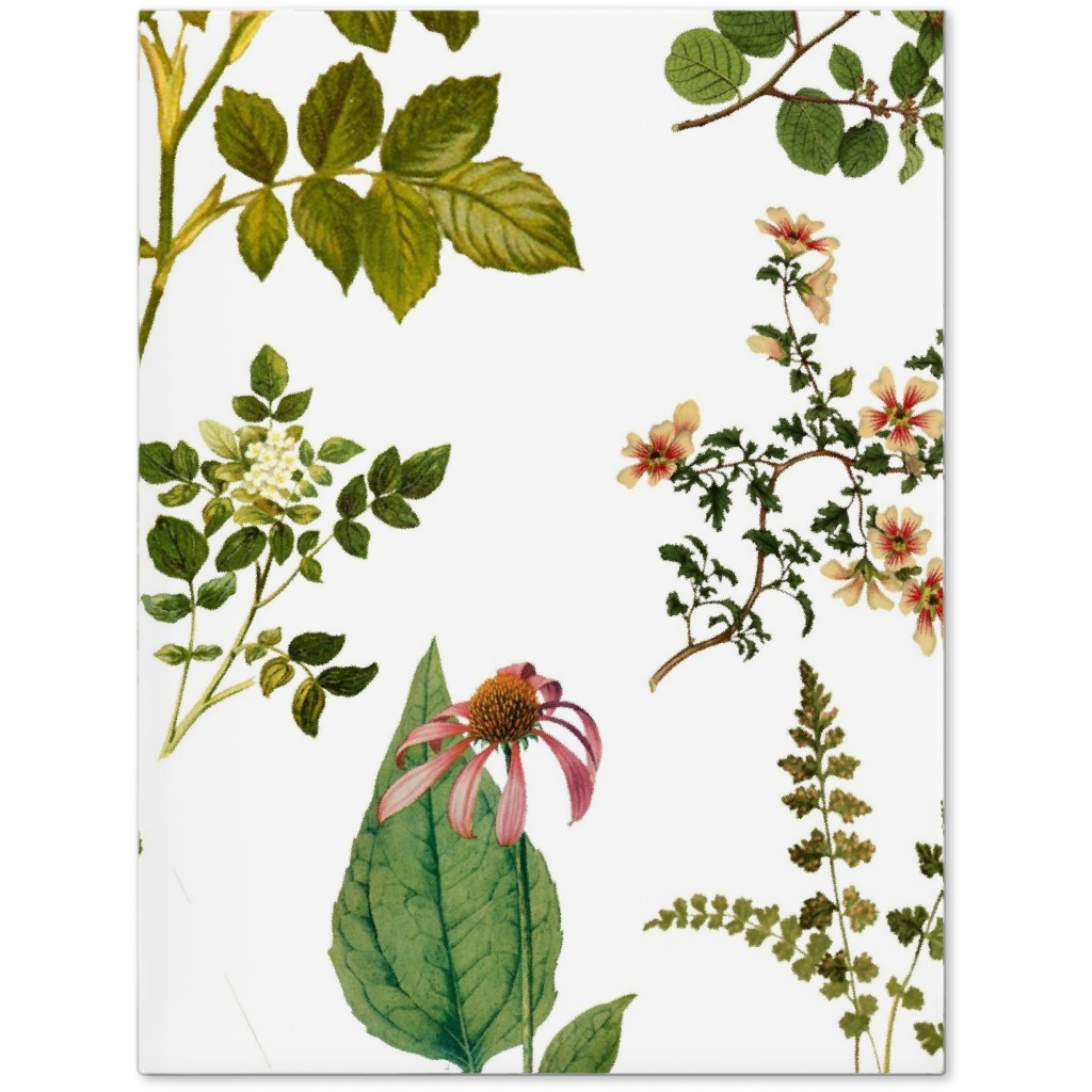 Lil Botanicals - White Journal, Green