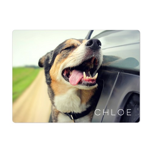 Photo Gallery Pet Magnet, 4x5.5, Multicolor