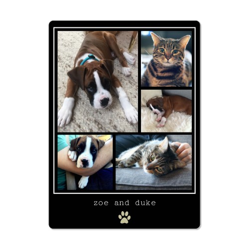 Simply Chic Paw Collage Magnet, 4x5.5, Black