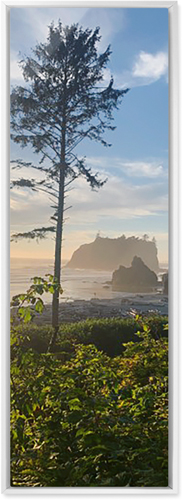 Photo Gallery Pano Portrait Wall Art, White, Single piece, Metal, 12x36, Matte, Multicolor, multi