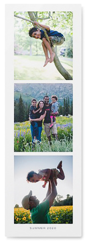 Three of a Kind Portrait Wall Art, No Frame, Single piece, Metal, 12x36, Glossy, Multicolor