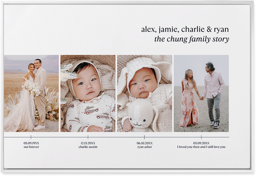 Timeline of Life Wall Art, White, Single piece, Metal, 24x36, Matte, White, white