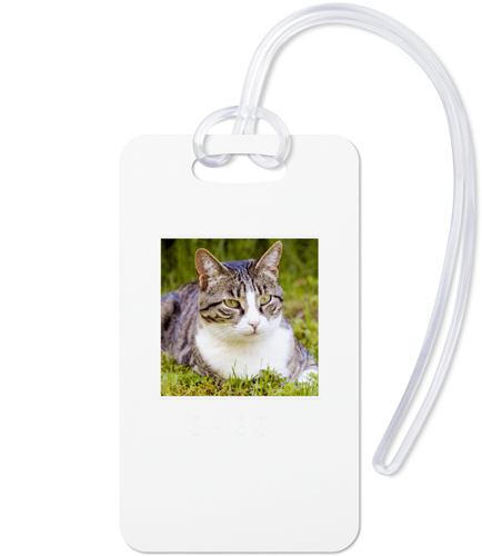 Pets Gallery of One Luggage Tag, Large, Multicolor