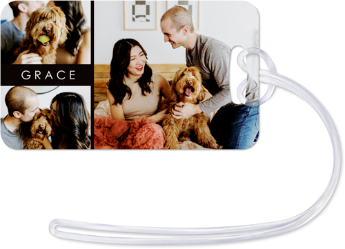 Text Gallery of Three Luggage Tag, Large, Multicolor
