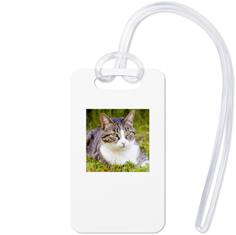 Pets Gallery of One