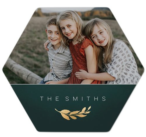 Classic Foil Leaf Metal Magnet, 4, Green, seaweed