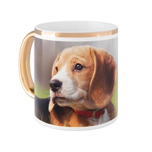 Pets Photo Gallery Mug, Gold Handle,  , 11oz, Multicolor