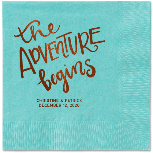 Remarkable Adventure Napkins, Brown, Aqua, Mocha