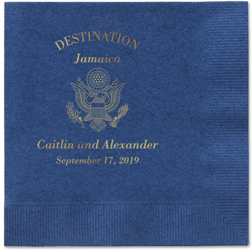 passionate-passport-napkins-shutterfly