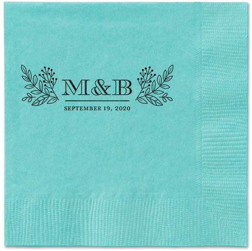 Captivated Chalk Napkins, Black, Aqua, Black