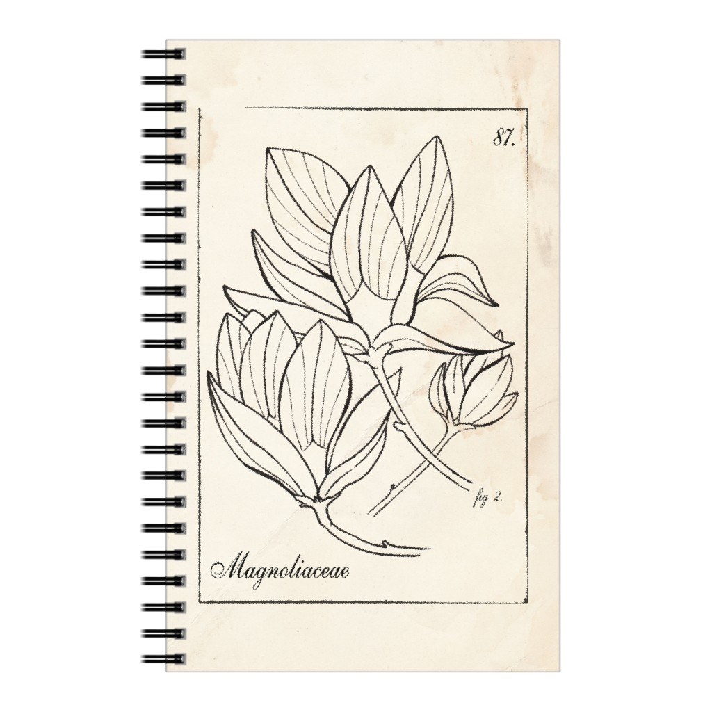 Vintage Plate Magnolia Sketch - Beige and Black Notebook, 5x8, Beige
