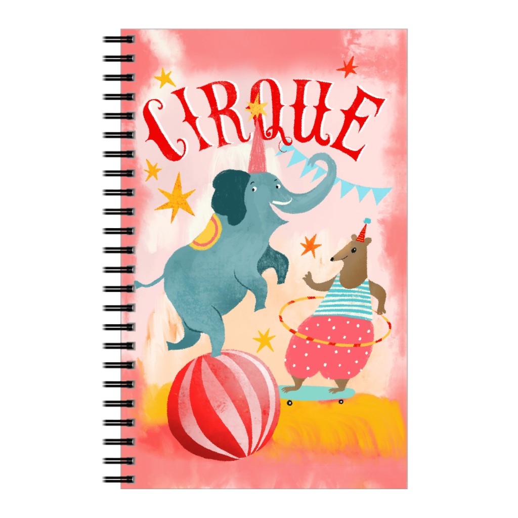 Magic Circus - Blue & Pink Notebook, 5x8, Multicolor
