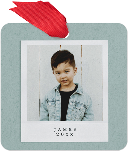 Film Frames Metal Ornament, Green, Square, mantis