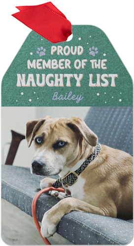 Naughty List Metal Ornament, Green, Gift Tag, forest
