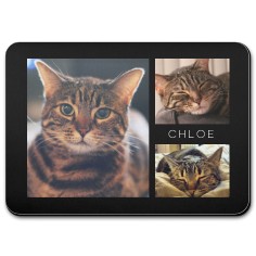 pet gallery of three pet placemat