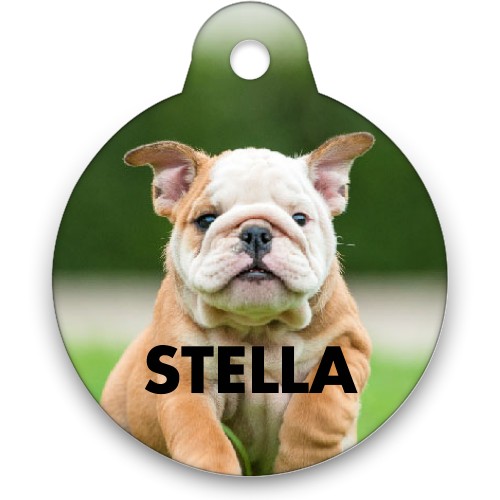 Shutterfly cheap pet tags