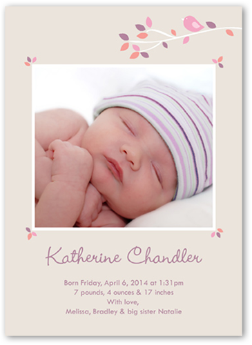 Spring Branch 5x7 Photo Baby Girl Birth Announcement Cards | Shutterfly