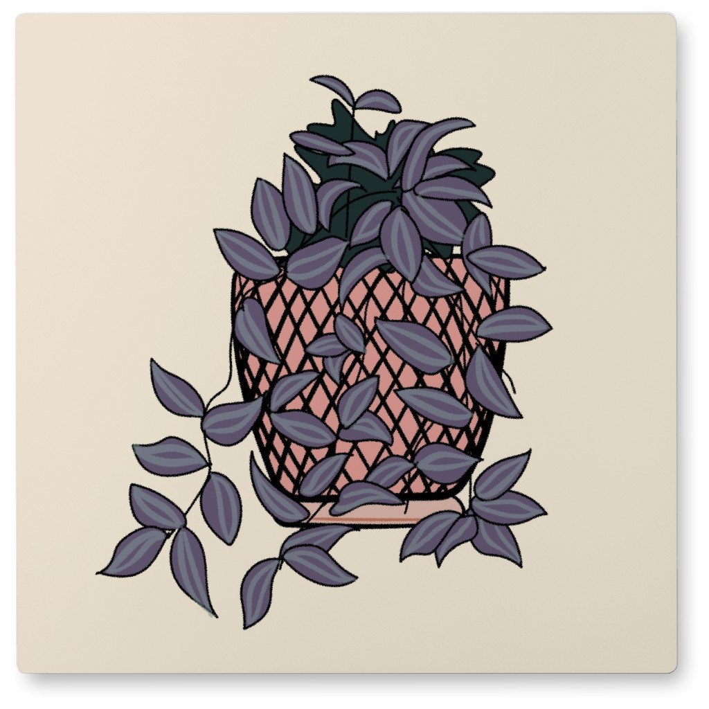 Tradescantia in Pot - Purple and Beige Photo Tile, Metal, 8x8, Beige