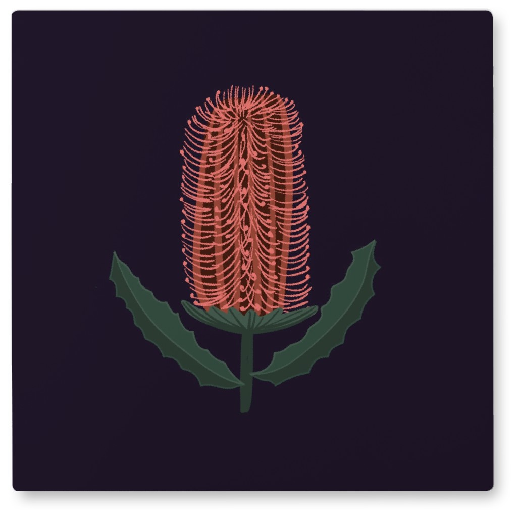 Banksia - Black and Pink Photo Tile, Metal, 8x8, Black, Black