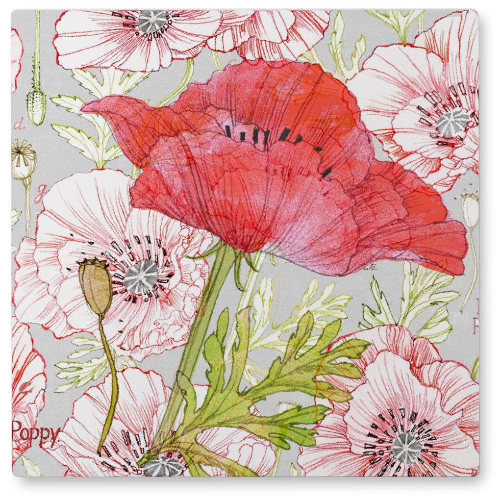 Poppy - Red Photo Tile, Metal, 8x8, Red