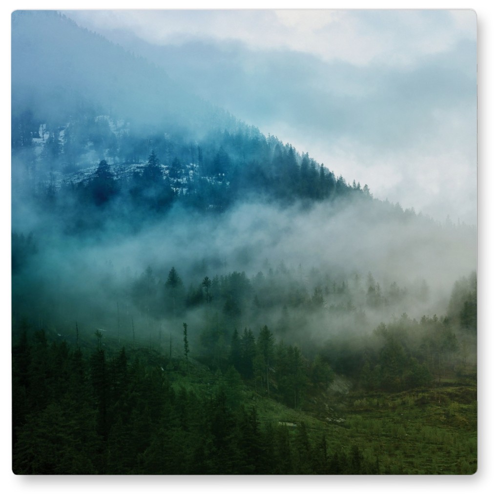 Foggy Morning Photo Tile, Metal, 8x8, Green
