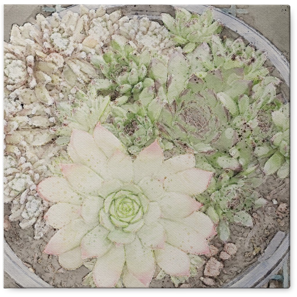 Succulent Watercolor - Gray Photo Tile, Canvas, 8x8, Gray