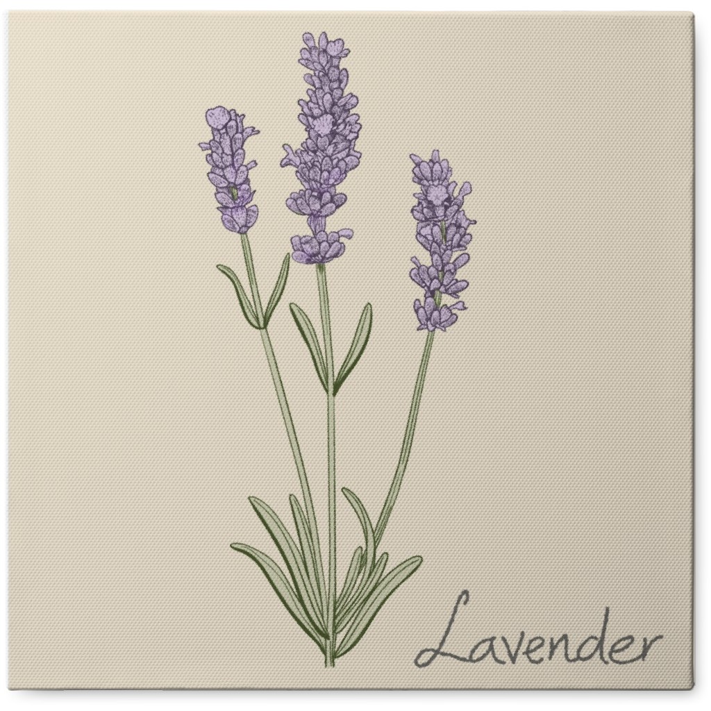 Lavender - Neutral Photo Tile, Canvas, 8x8, Beige