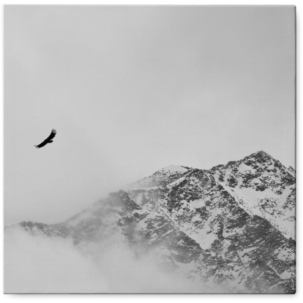 Soaring Snow Bid Photo Tile, Canvas, 8x8, White