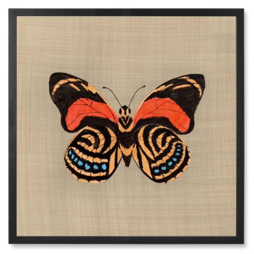 Butterfly Curio - Orange and Beige Photo Tile, Black, Framed, 8x8, Beige, Pearl