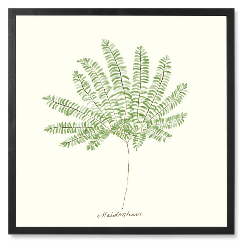 Maidenhair Fern - Green Photo Tile, Black, Framed, 8x8, Green, Classic Green